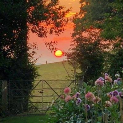 变形金刚赛车选关版