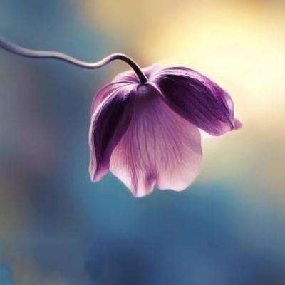 荆门房产信息网