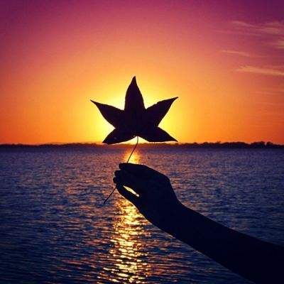 宝鸡市房地产网